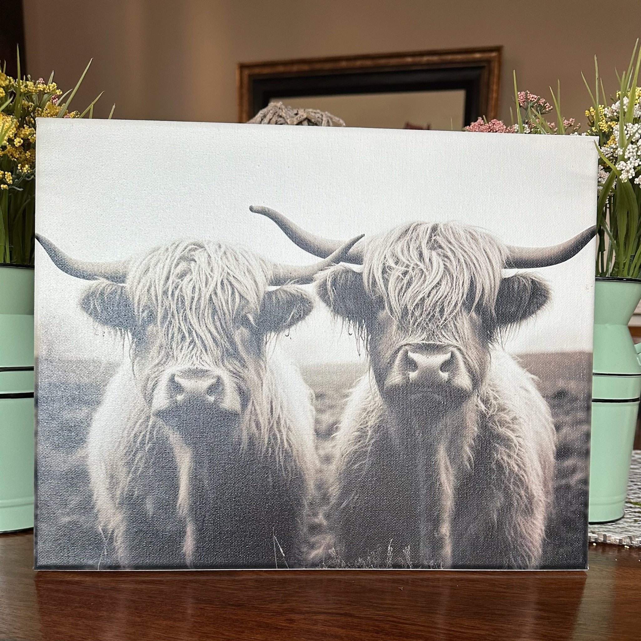 Black and White Highland Cow Canvas