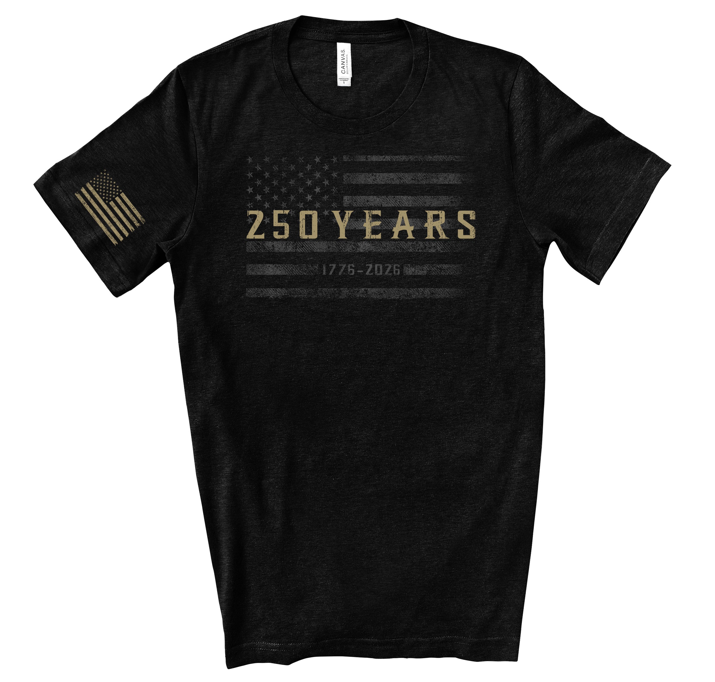 250 Years America Tee