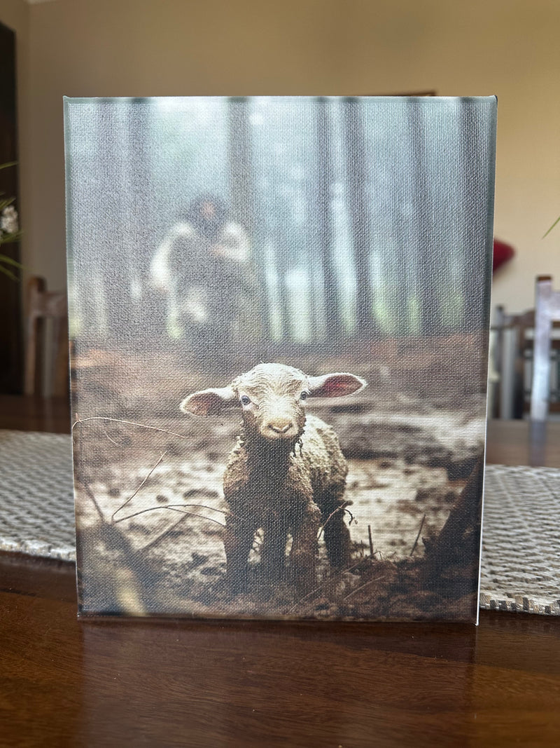 Jesus Saves the Lamb