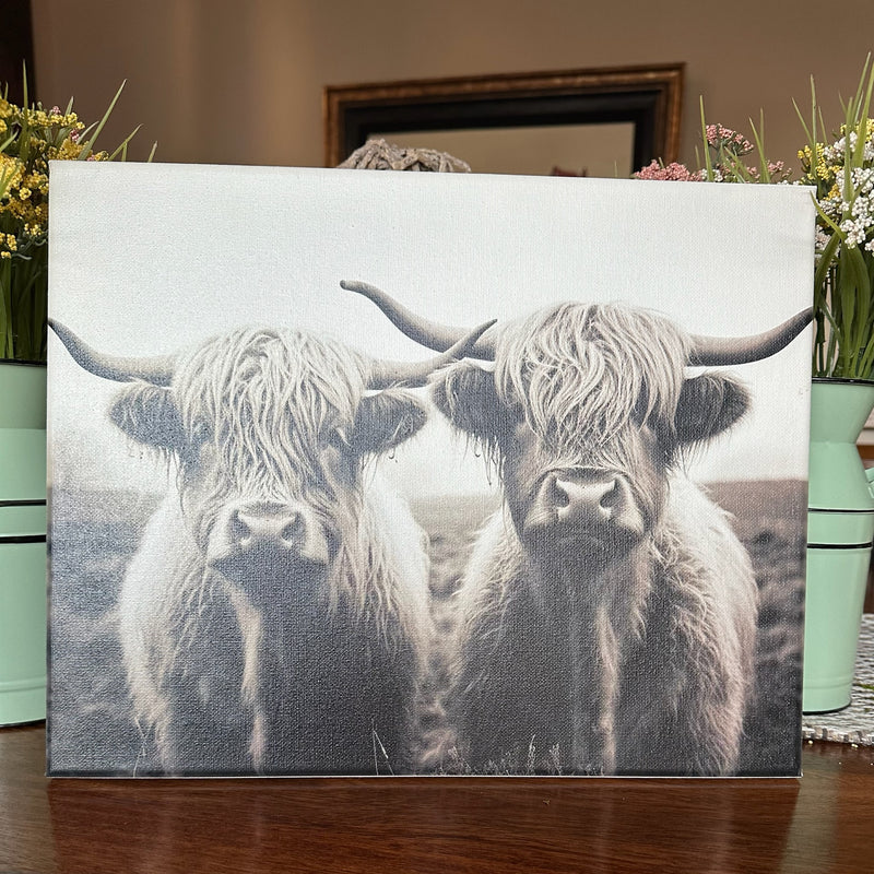 Black and White Highland Cow Canvas