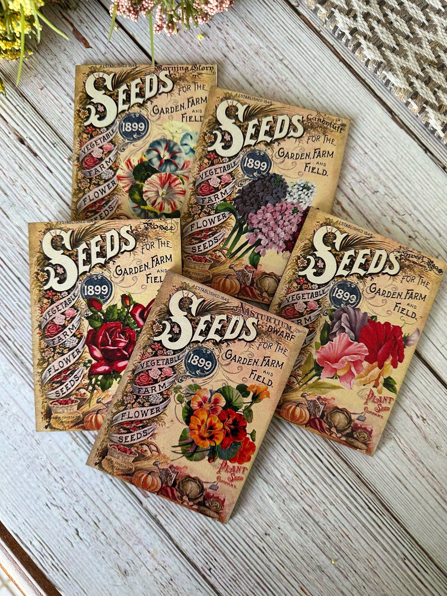 veg and flower seeds Flower Seed Packets – Mountain Edge Designs