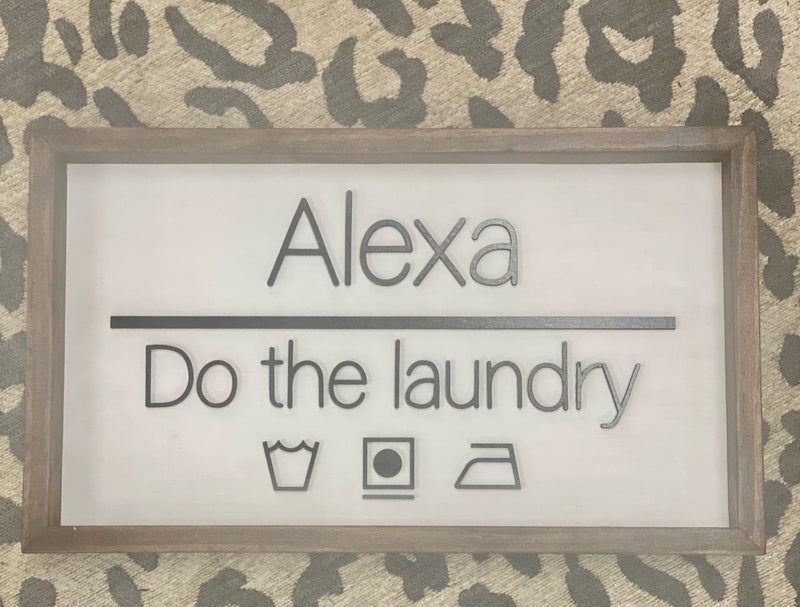 Hey Siri or Alexa Do the Laundry