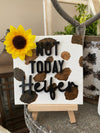 Not Today Heifer 4x4 Canvas Print